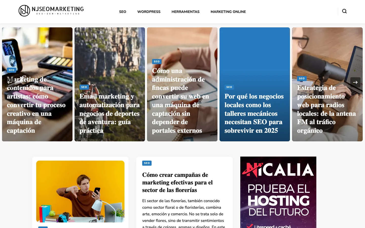 Página de inicio de NJSEOMARKETING