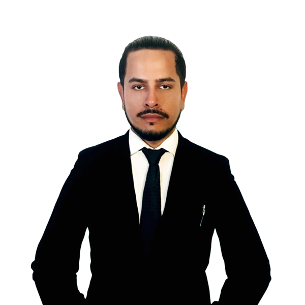 Gustavo Bargas, Lead Consultant